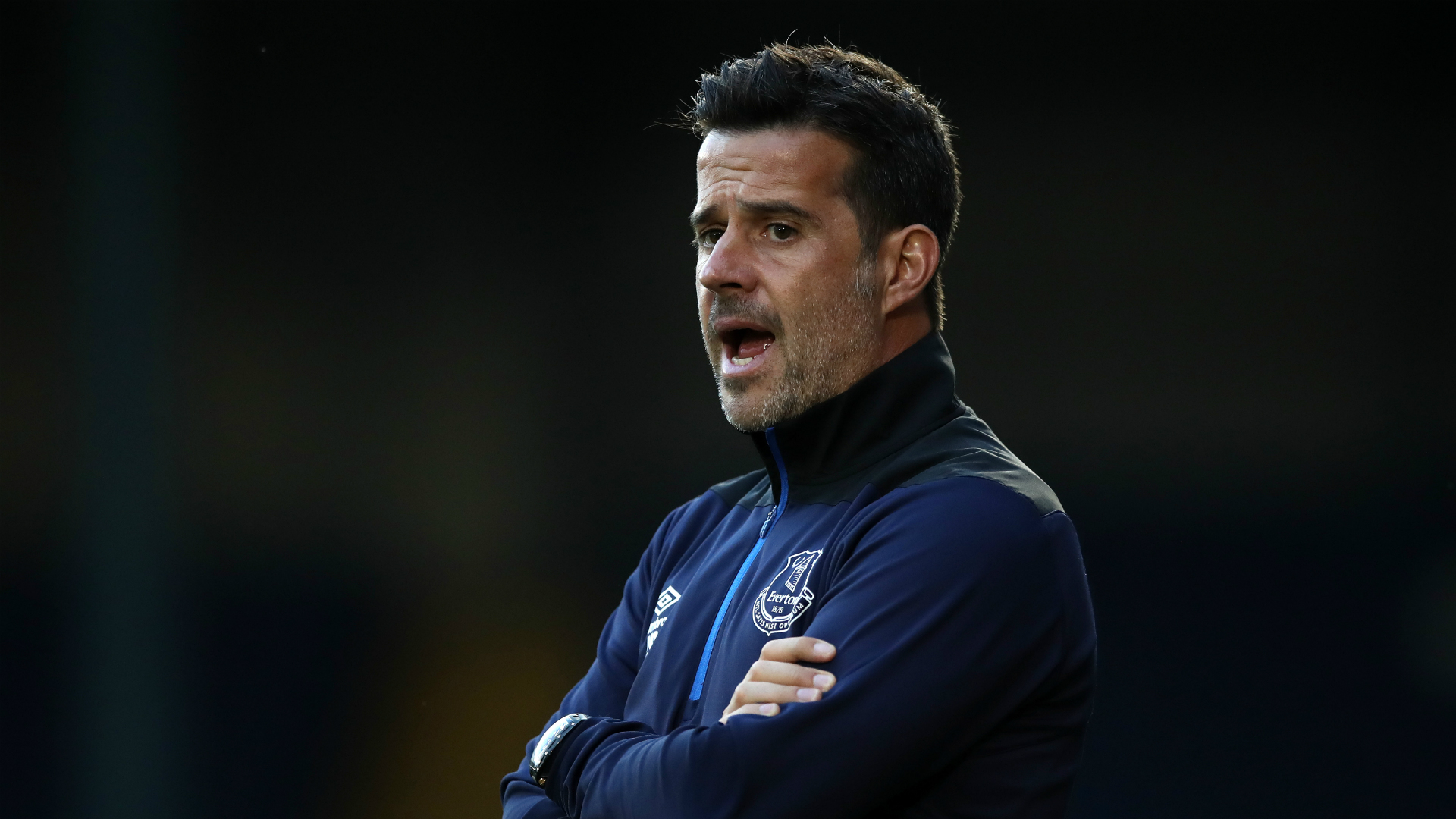 的分析中 的分析中